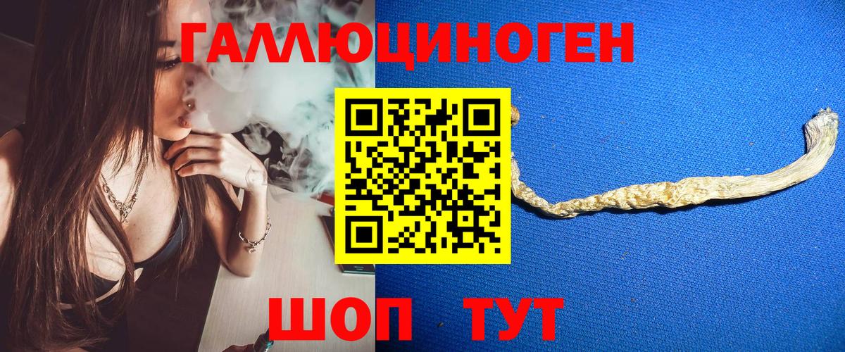 Таганрог  Галлюциногенные грибы Cubensis  Вход с VPN 