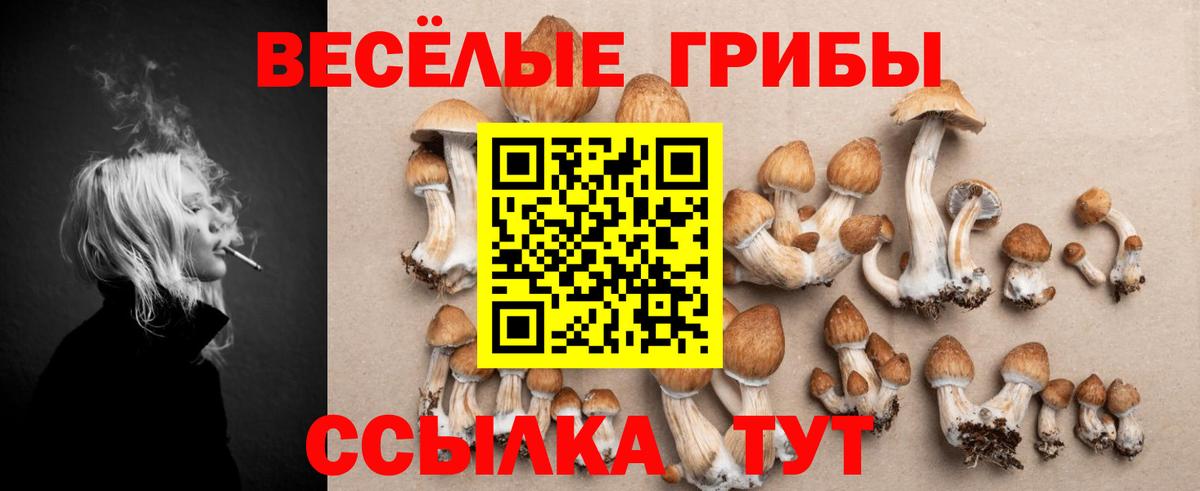 Галлюциногенные грибы Psilocybine cubensis Таганрог